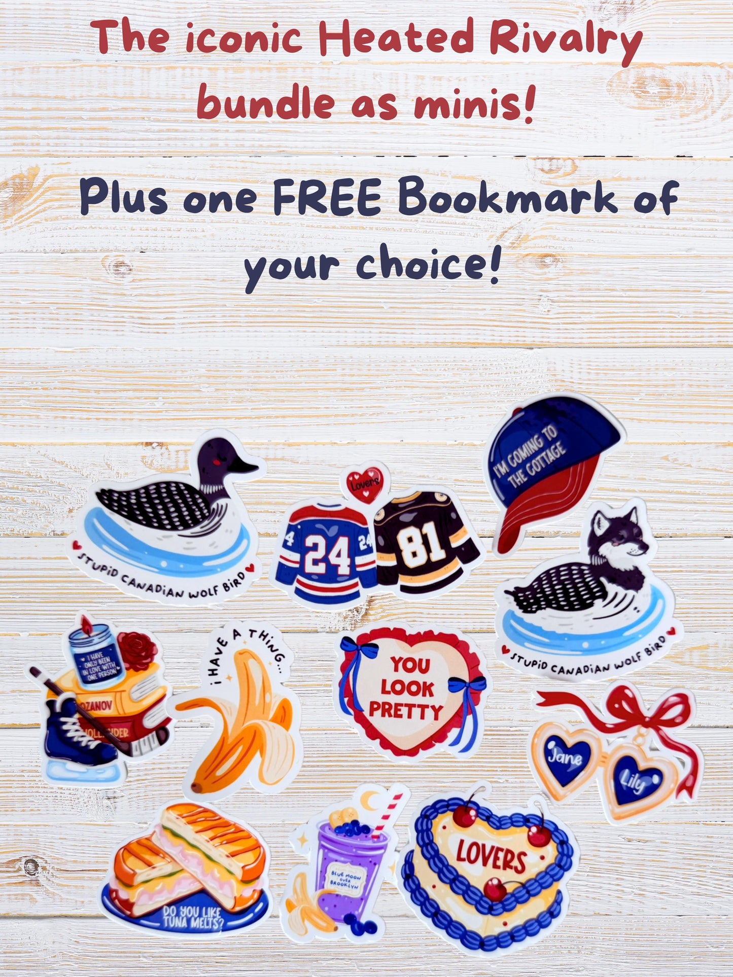Heated Rivalry Mini Sticker Set | Bookish Hockey Romance Stickers for Kindle & Journals